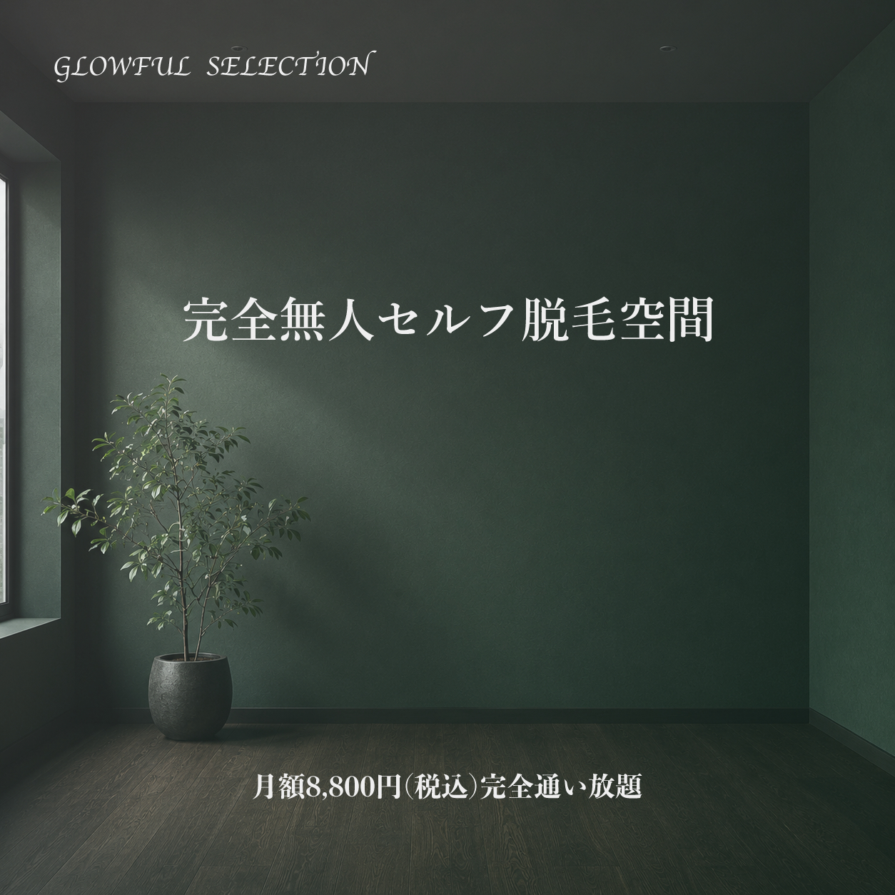 グラフルサイトメインビジュアル画像